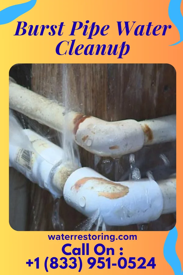 Burst Pipe Water Cleanup in Milford, KS