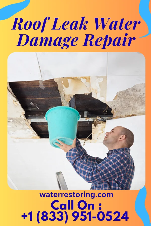 Roof Leak Water Damage Repair in Milford, KS